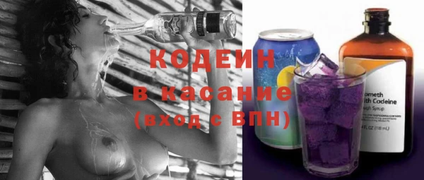 сатива Арсеньев