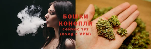 сатива Арсеньев
